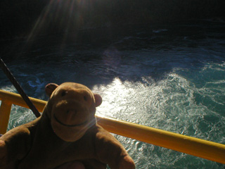 Mr Monkey looking down at the whirlpool