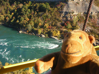 Mr Monkey looking at the river from the other side of the car