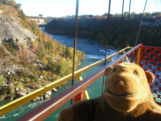 Mr Monkey looking up the river to the Niagara bridges