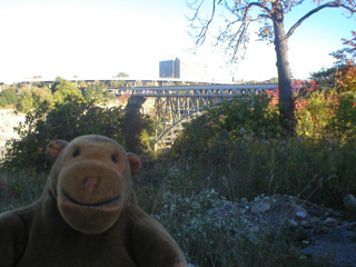 Mr Monkey looking at the railway bridge