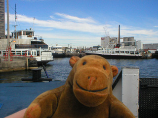 Mr Monkey looking at the Port of Toronto