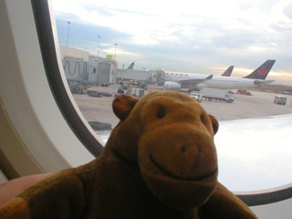 Mr Monkey looking out of the plane window at Toronto