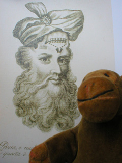Mr Monkey with a picture of a wise-looking turbanned head