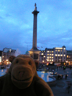 Mr Monkey admiring Nelson's column