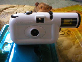 Mr Monkey behind a Lomo Colorsplash camera
