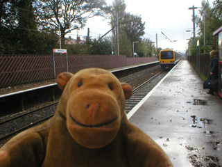 Mr Monkey waiting on a station platform