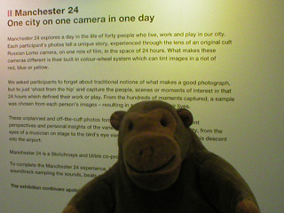 Mr Monkey in front of the exhibition description