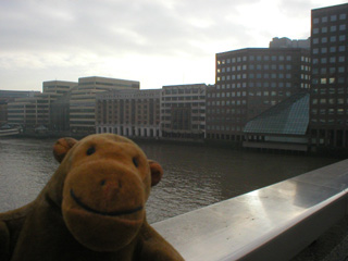 Mr Monkey looking from London Bridge