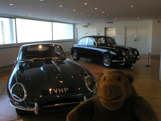 Mr Monkey looking at a pair of Jaguar cars