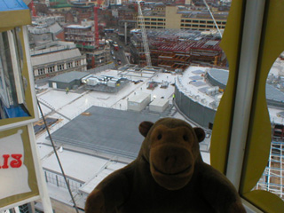 Mr Monkey looking down on a half built building