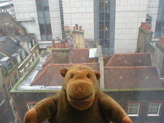 Mr Monkey looking down on the houses opposite