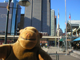 Mr Monkey looking back from Pier 17