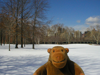 Mr Monkey looking at a field of snow