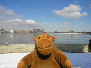 Mr Monkey looking at the East River from the northern point of Roosevelt Island