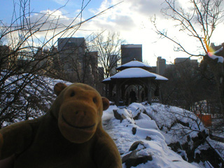 Mr Monkey approaching the Dene shelter
