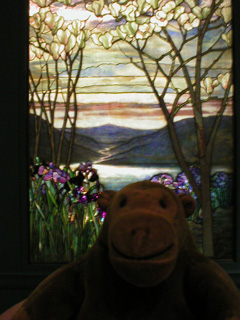 Mr Monkey in front of Tiffany's Magnolias and Irises