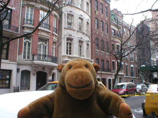 Mr Monkey on a street of nice houses