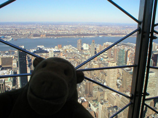 Mr Monkey looking at the Hudson River