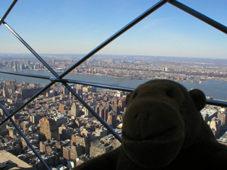 Mr Monkey looking West from the Empire State Building