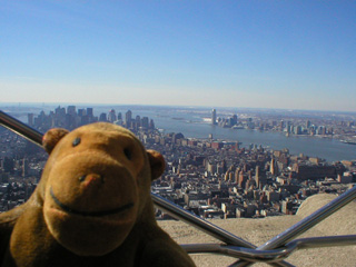 Mr Monkey looking towards Lower Manhattan