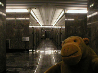Mr Monkey in front of the lifts of the ESB