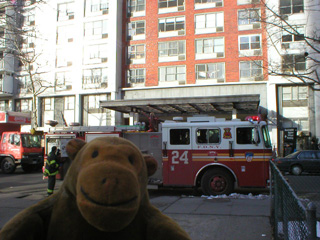 Mr Monkey looking at a fire engine on Bleeker Street