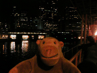 Mr Monkey looking back at the ferry terminal