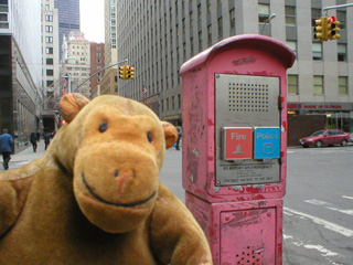 Mr Monkey with an alarm post