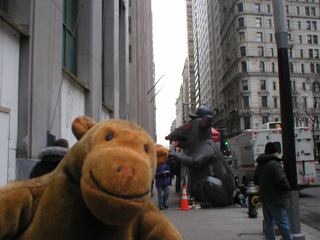 Mr Monkey startled by a giant rat on Broadway