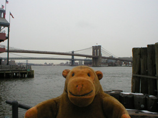 Mr Monkey looking at the Brooklyn Bridge