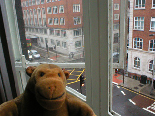 Mr Monkey looking out of the window of the Tavistock Hotel