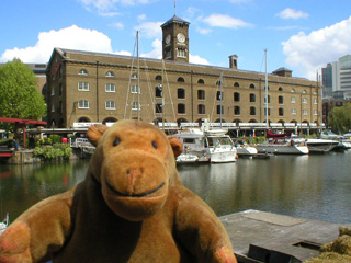 Mr Monkey looking across water at Ivory House