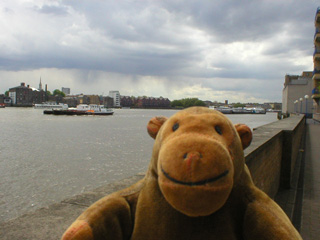 Mr Monkey looking out at the river