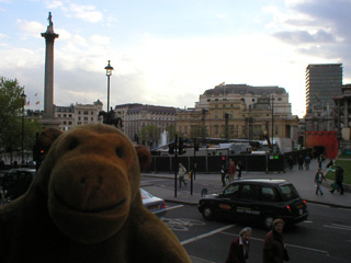 Mr Monkey looking across Trafalgar Square