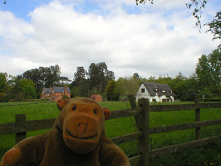 Mr Monkey looking at a distant black and white building