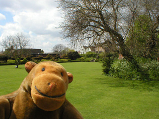 Mr Monkey looking across the Great Garden