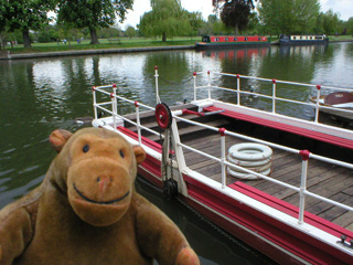 Mr Monkey looking at the chain ferry