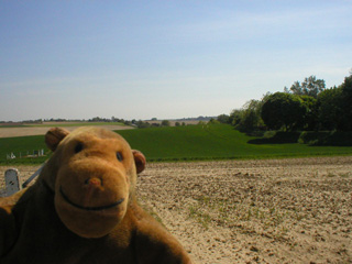 Mr Monkey looking at a field