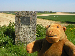 Mr Monkey with the Picton stone
