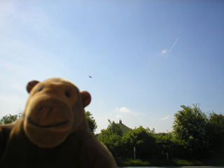 Mr Monkey watching a light plane fly over the Lion Mound