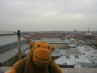 Mr Monkey looking south from the roof of the arch