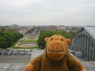 Mr Monkey looking east from the roof of the arch
