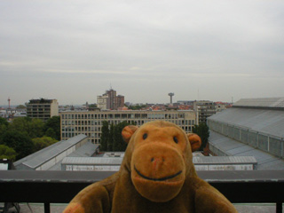 Mr Monkey looking north from the roof of the Arc