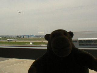 Mr Monkey watching a plane take off