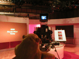 Mr Monkey behind a news camera