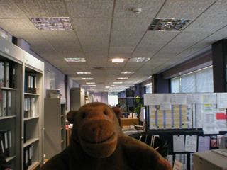 Mr Monkey in the help desk office