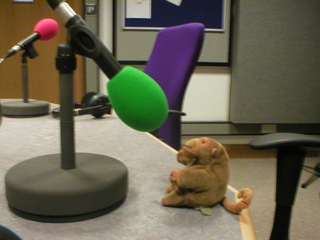 Mr Monkey talking into a green microphone