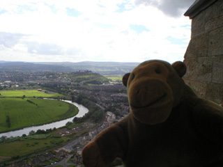 Mr Monkey looking at Stirling from the Wallace Monument