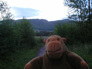 Mr Monkey looking up at some hills