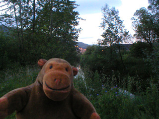 Mr Monkey looking towards the lights of Tillicoultry
